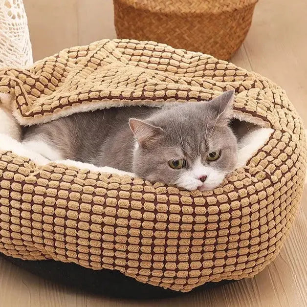 Coussin Chat Doux Avec Couverture Intégrée Pour toi Mon chat