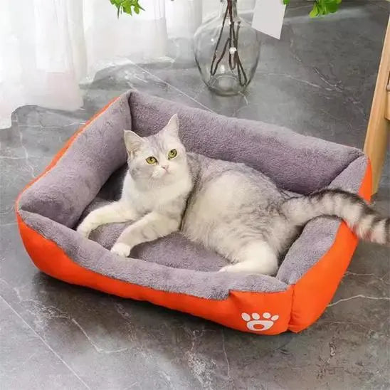 Coussin Chat, Maison, Niche, Confortable Repos Douillet Garanti Pour toi Mon chat orange sur sol carrelage gris et rideaux blancs