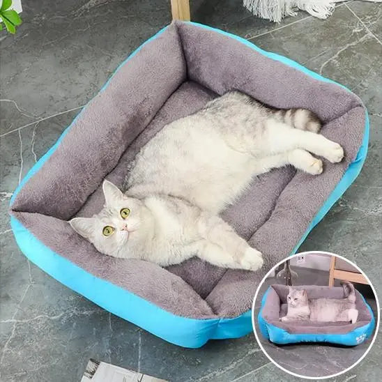 Coussin Chat, Maison, Niche, Confortable Repos Douillet Garanti bleu Pour toi Mon chat  sur sol carrelage gris et fenêtre ronde avec autre chat