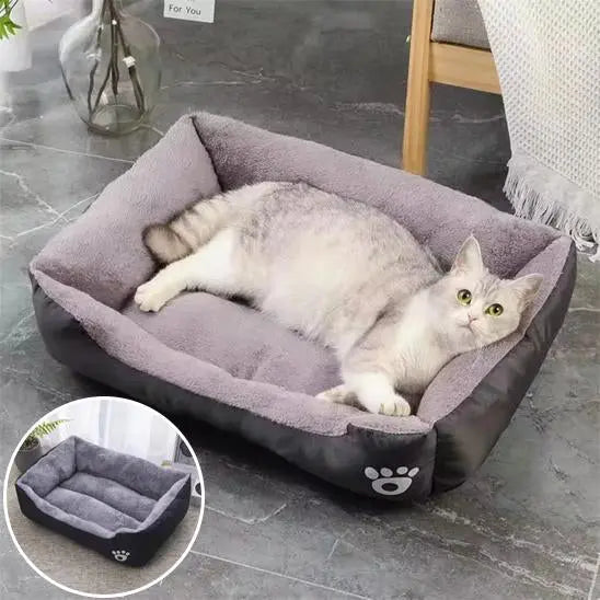 Coussin Chat, Maison, Niche, Confortable Repos Douillet Garanti Pour toi Mon chat noir sur sol carrelage gris et zoom sur coussin noir vide