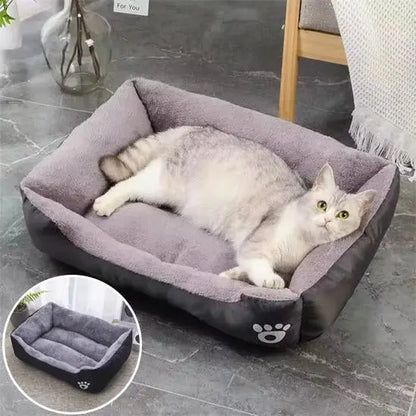 Coussin Chat, Maison, Niche, Confortable Repos Douillet Garanti Pour toi Mon chat noir sur sol carrelage gris et zoom sur coussin noir vide