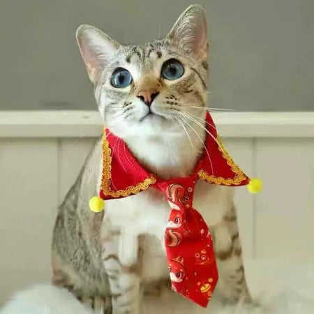 Cravate de Noel pour Chat Pour toi Mon chat