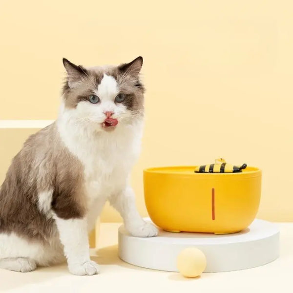 Distributeur Eau Chat Électrique Filtrant et Silencieux avec un chat gris et blanc à côté et une balle devant sur fond beige