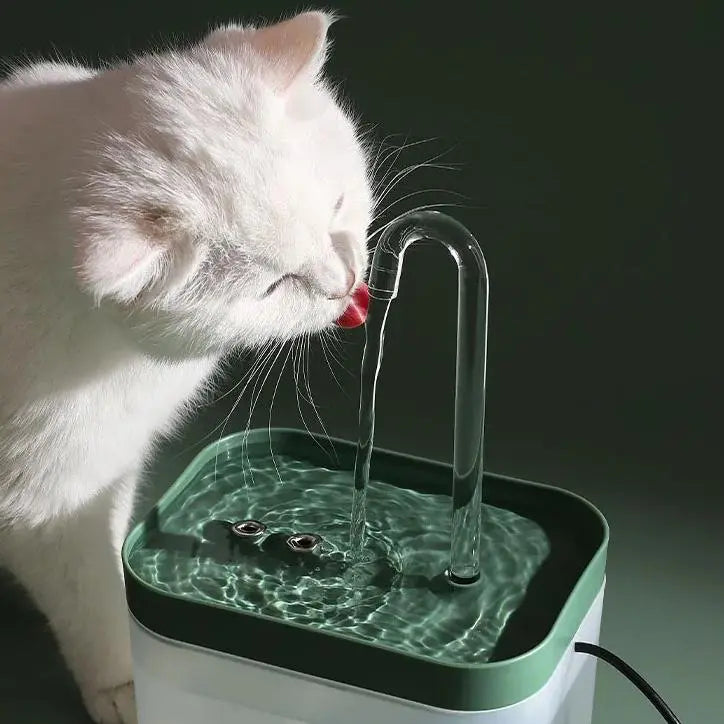 Distributeur Eau Chat Style Fontaine avec Filtre avec un chat blanc en train de boire sur fond vert