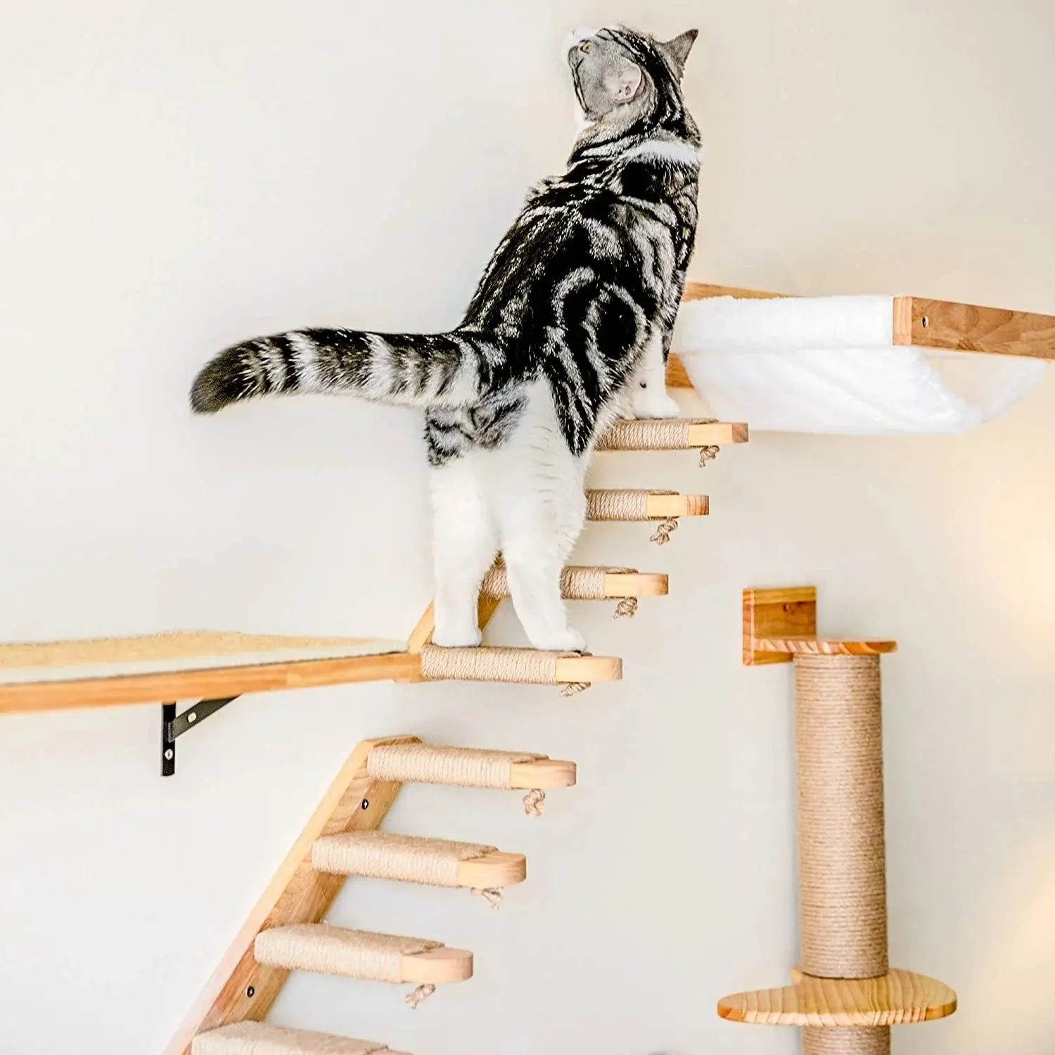Escalier Pour Chat à Fixer Contre un Mur avec un chat noir et blanc dessus et d'autres accessoires à côté