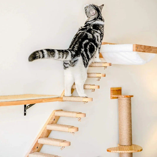 Escalier Pour Chat à Fixer Contre un Mur avec un chat noir et blanc dessus et d'autres accessoires à côté
