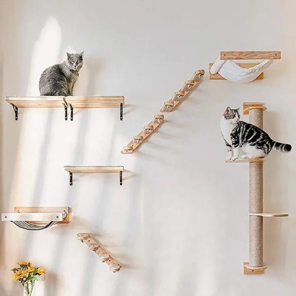 Escalier Pour Chat à Fixer Contre un Mur