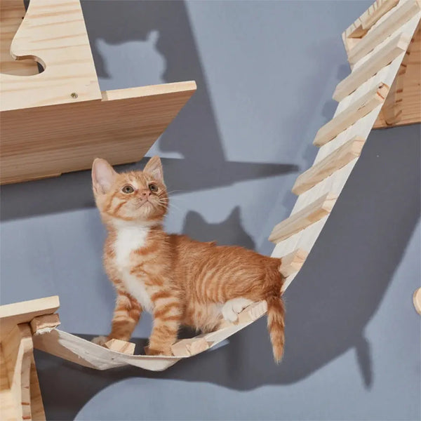 Escalier pour Chat Style Pont Suspendu avec un chaton dessus et un mur gris derrière lui