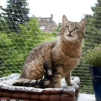 Filet de Protection Chat avec Accessoires de Montage avec un chat marron assis sur un coussin avec un pot de fleur bleu à droite