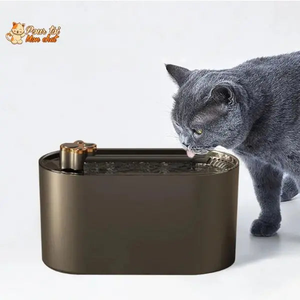 Fontaine d'eau automatique ultra-silencieuse pour chat Pour toi Mon chat