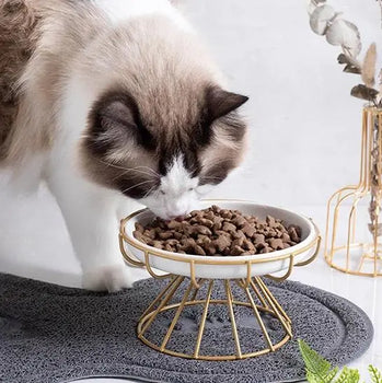 Gamelle Chat Surélevée avec Bol en Céramique Pour toi Mon chat