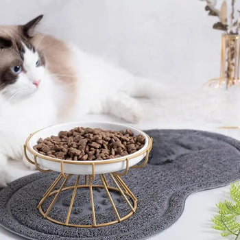 Gamelle Chat Surélevée avec Bol en Céramique Pour toi Mon chat
