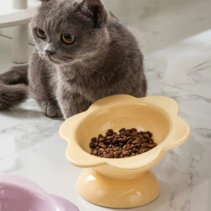 Gamelle Chat Surélevée en Forme de Fleur Pour toi Mon chat