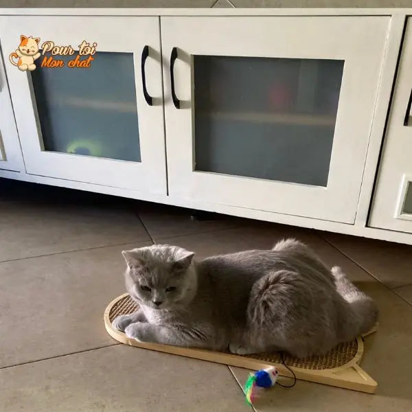 Grattoir mural en sisal pour chat Pour toi Mon chat