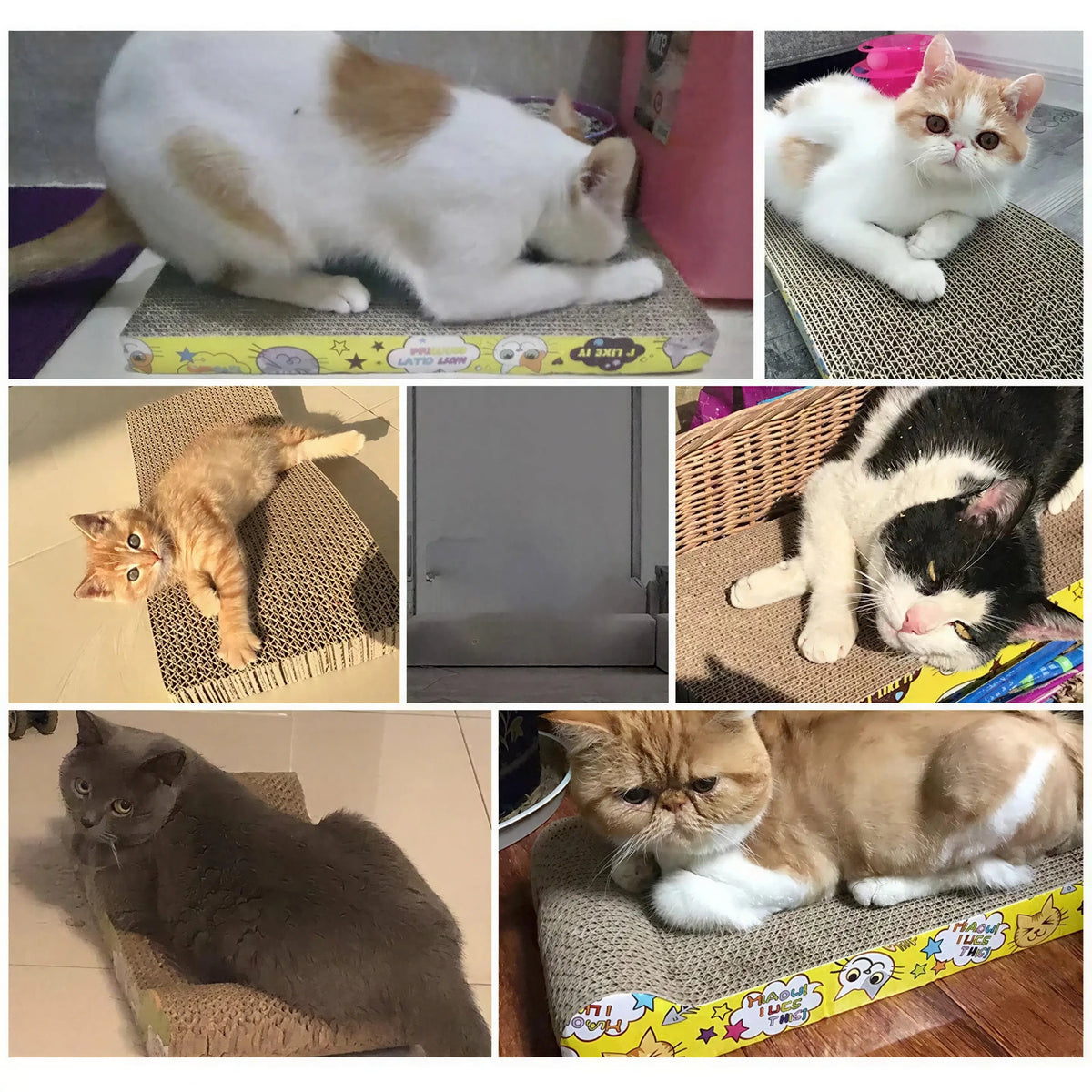 Griffoir Chat Ondulé en Carton XXL Pour toi Mon chat
