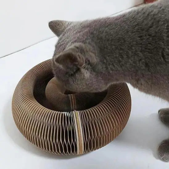 Griffoir magique modulable en jouet pour chat - Accordéon4Cat™ Pour toi Mon chat