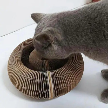 Griffoir magique modulable en jouet pour chat - Accordéon4Cat™ Pour toi Mon chat