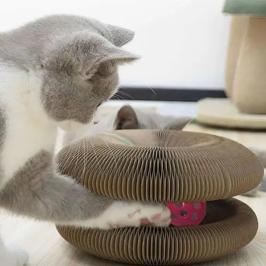 Griffoir magique modulable en jouet pour chat - Accordéon4Cat™ Pour toi Mon chat
