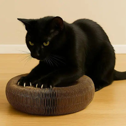 Griffoir magique modulable en jouet pour chat - Accordéon4Cat™ Pour toi Mon chat