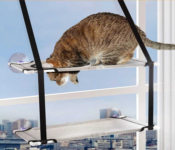 Hamac à fenêtre suspendue pour chaton Pour toi Mon chat
