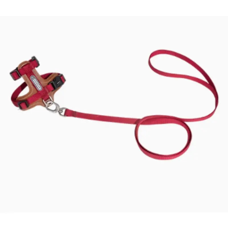 Harnais Chat Anti Fugue Léger et Réglable en Nylon et Cuir Pour toi Mon chat rouge sur fond blanc