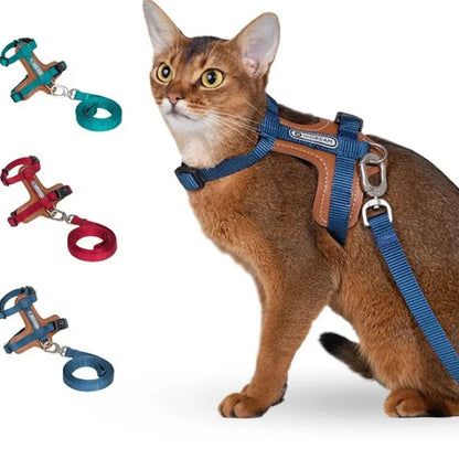 Harnais Chat Anti Fugue Léger et Réglable en Nylon et Cuir Pour toi Mon chat 3 couleurs