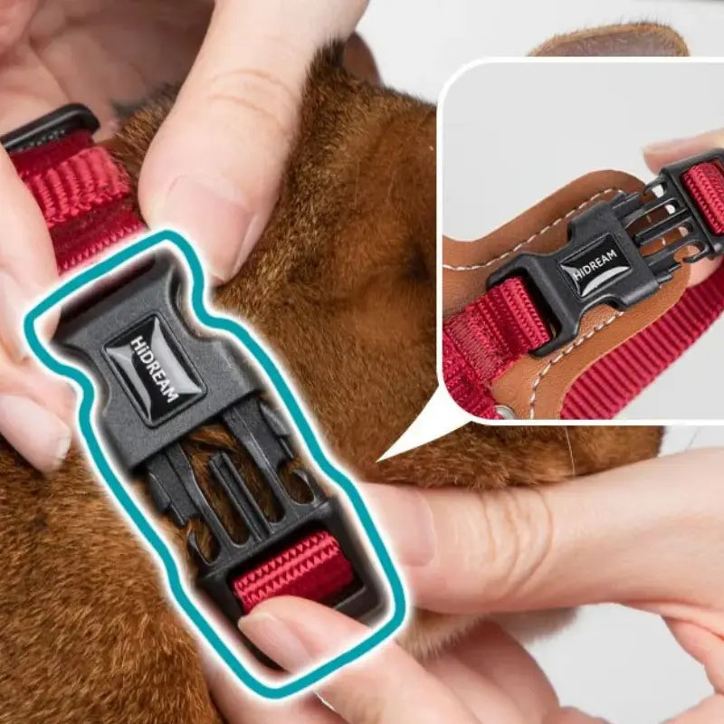 Harnais Chat Anti Fugue Léger et Réglable en Nylon et Cuir Pour toi Mon chat rouge avec zoom sur l'attache