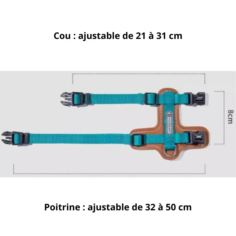 Harnais Chat Anti Fugue Léger et Réglable en Nylon et Cuir Pour toi Mon chat avec dimensions ajustables