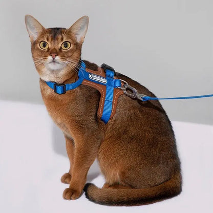 Harnais Chat Anti Fugue Léger et Réglable en Nylon et Cuir Pour toi Mon chat bleu porté sur chat