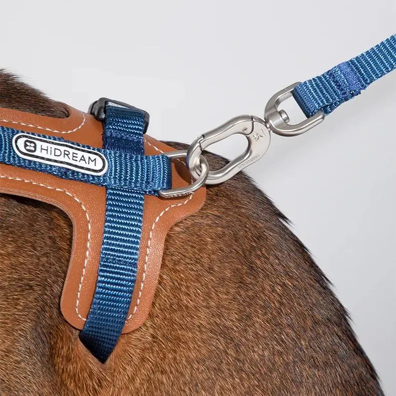Harnais Chat Anti Fugue Léger et Réglable en Nylon et Cuir Pour toi Mon chat bleu avec zoom sur le mousqueton