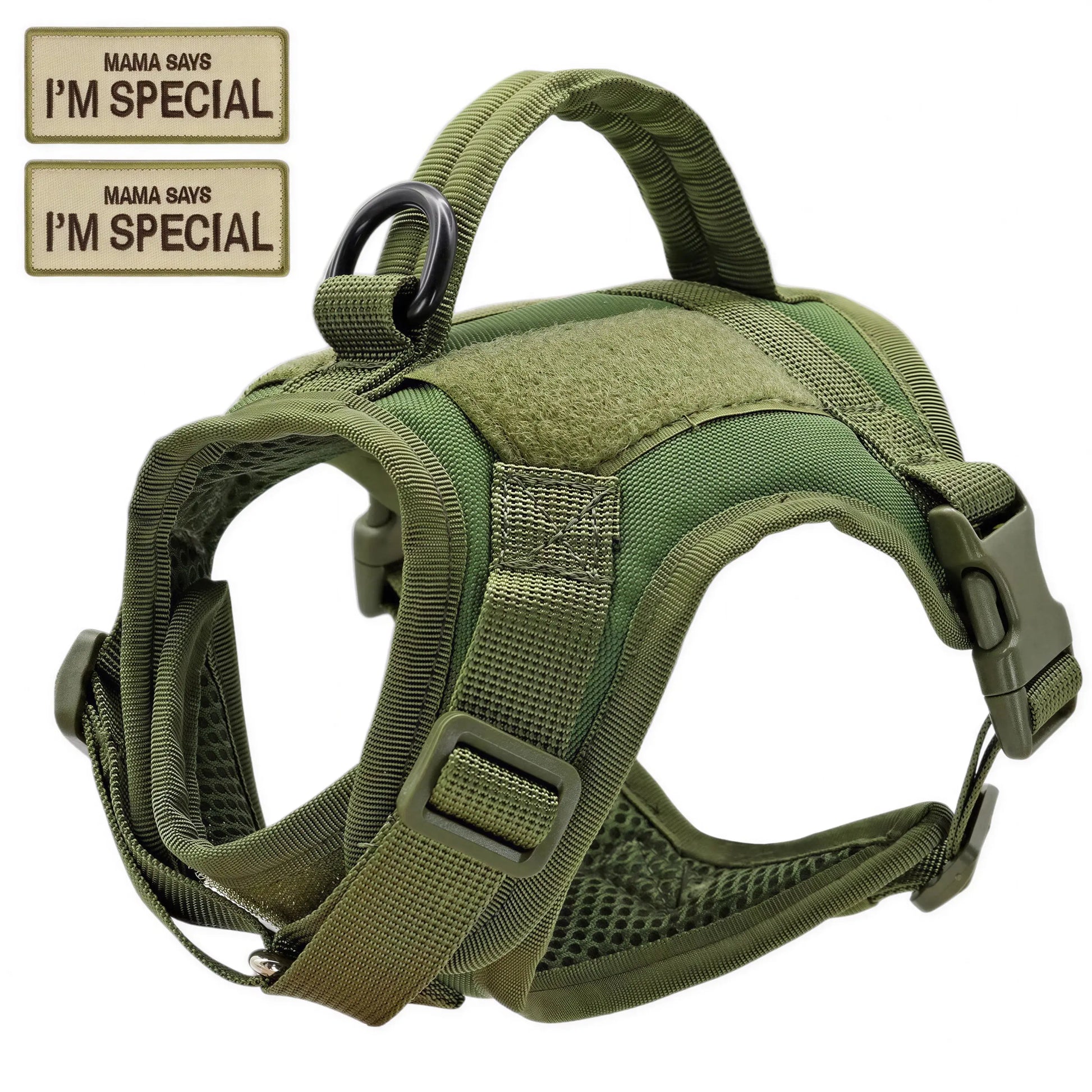 Harnais Chat Militaire Pour toi Mon chat