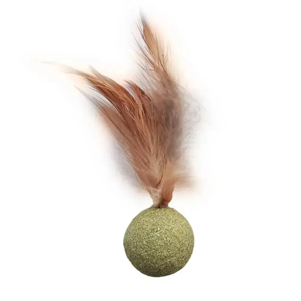Herbe à Chat Ronde avec une Plume