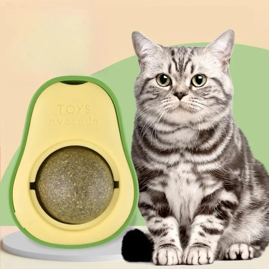 Herbe à Chat dans un Jouet en Forme d'Avocat avec un chat noir et blanc à coté