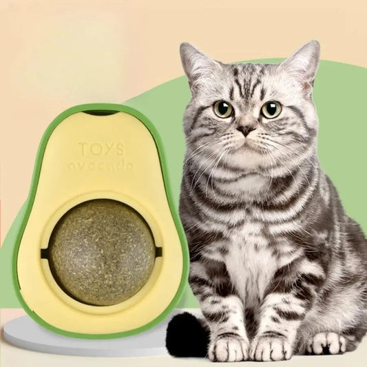 Herbe à Chat dans un Jouet en Forme d'Avocat avec un chat noir et blanc à coté