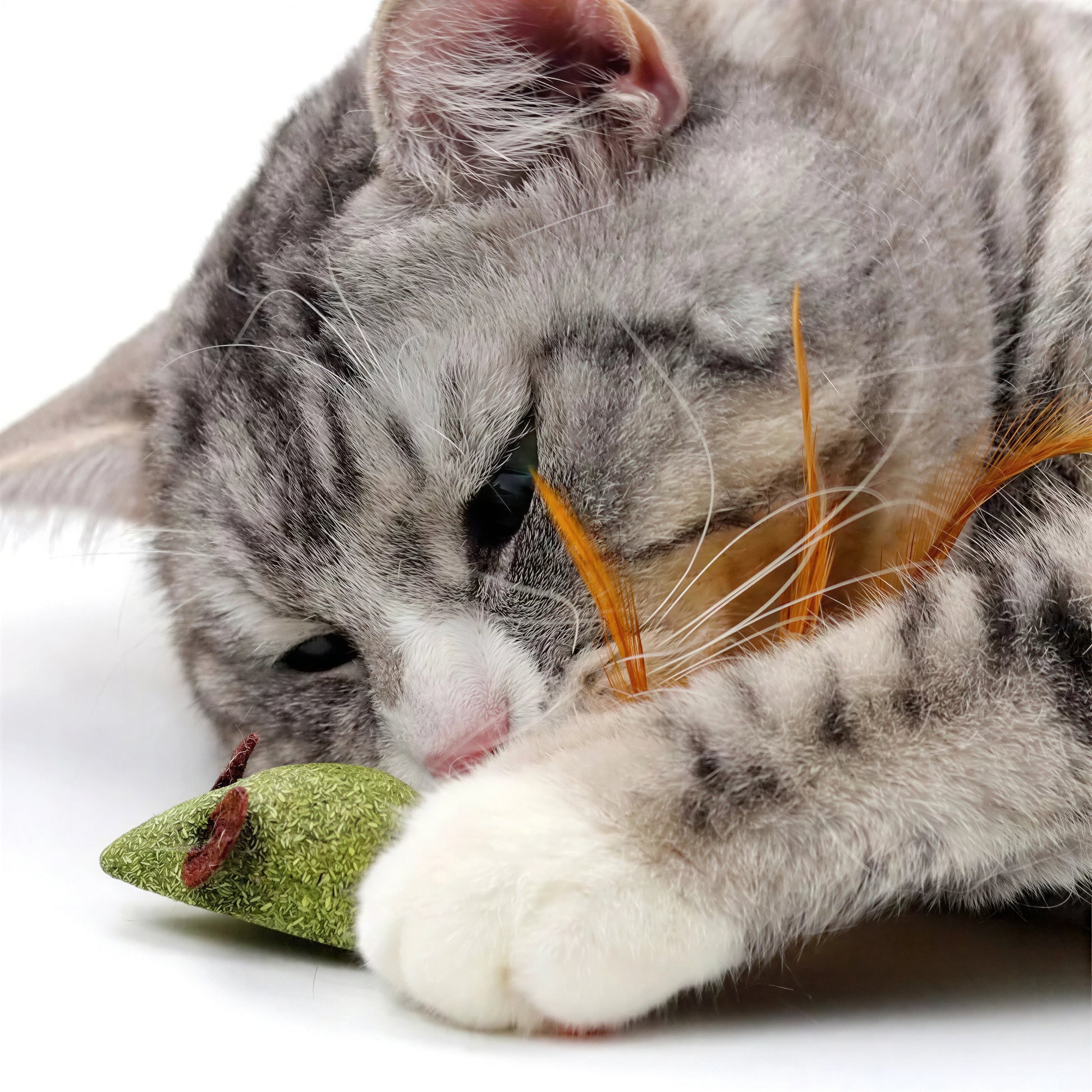 Herbe à Chat en Forme de Souris avec une Plume - vue 3