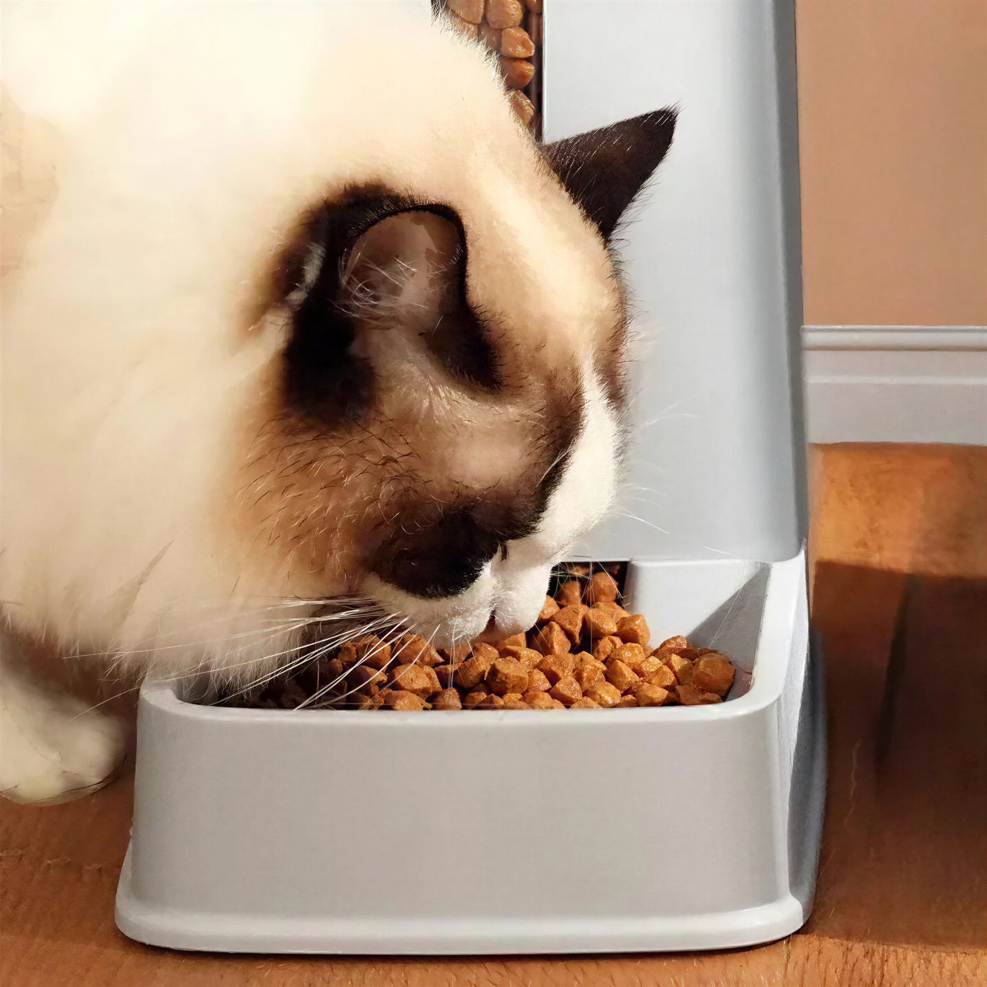 Distributeur Croquettes Chat Compact et Antidérapant en Plastique - vue 2