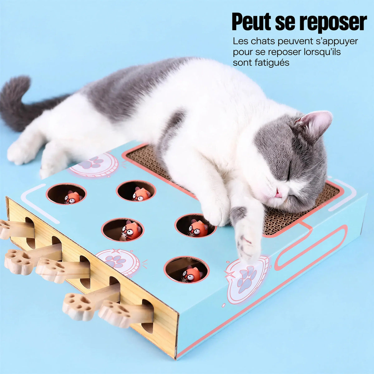 Jeu Interactif pour Chat en Bois à Trous Pour toi Mon chat