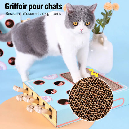 Jeu Interactif pour Chat en Bois à Trous Pour toi Mon chat