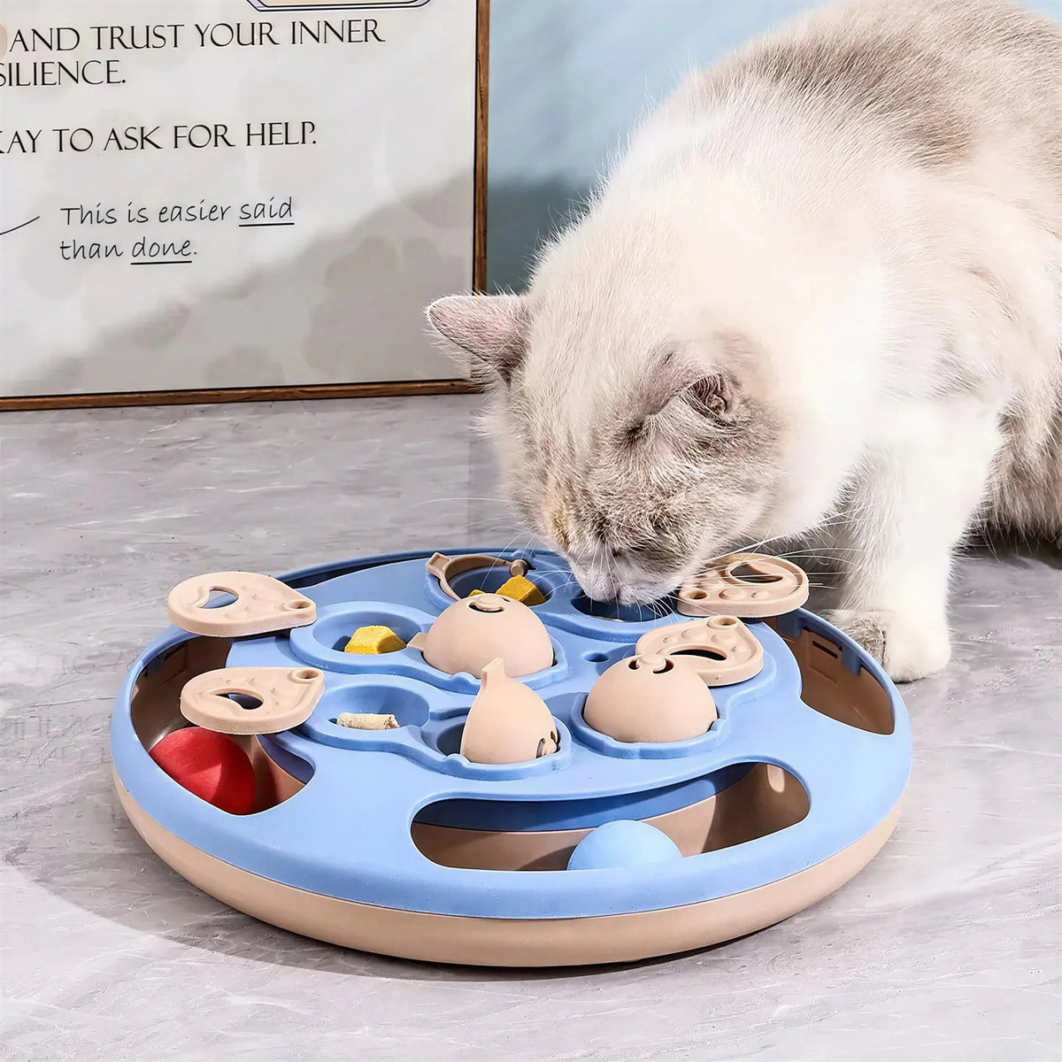 Jouet Chat Oiseau Volant Contre l'Ennui Pour toi Mon chat