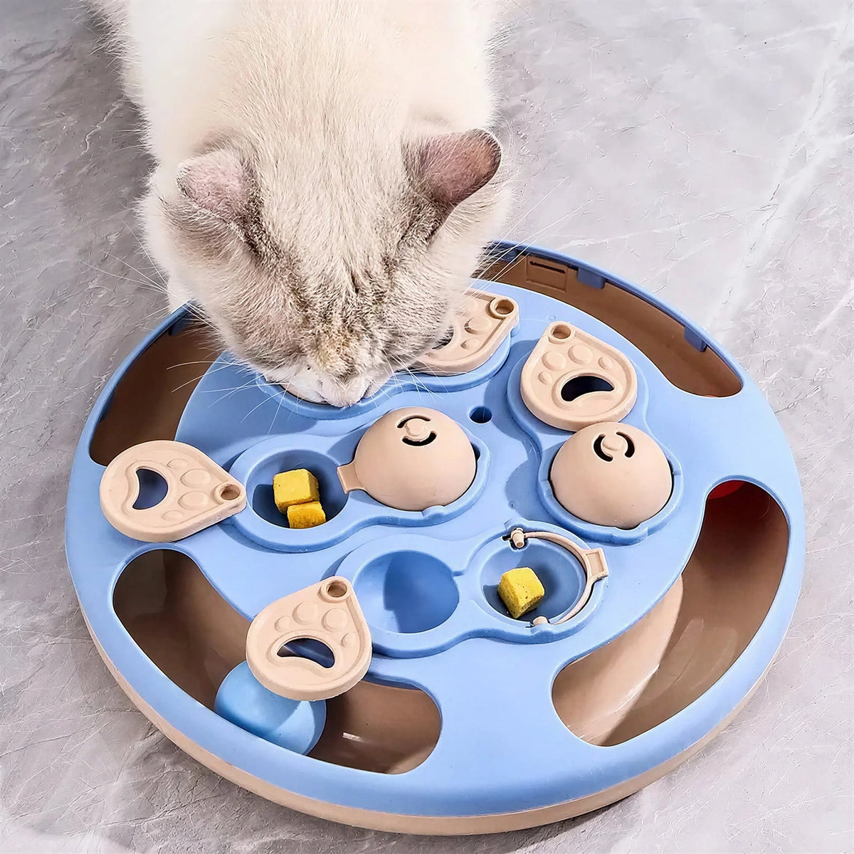Jouet Chat Oiseau Volant Contre l'Ennui Pour toi Mon chat