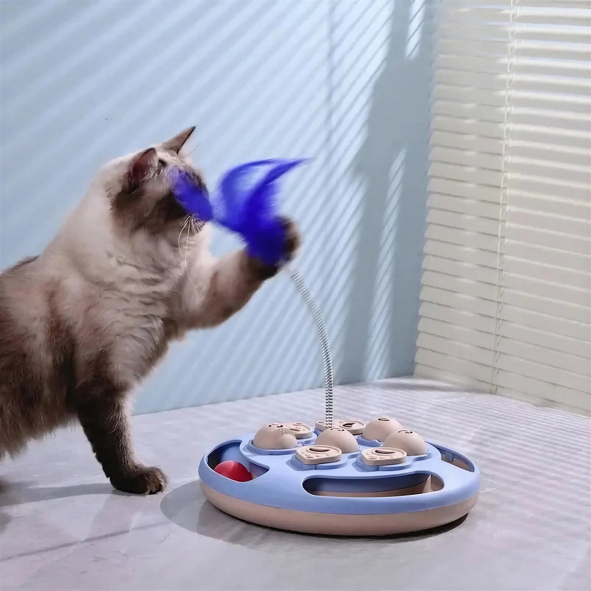 Jouet Chat Oiseau Volant Contre l'Ennui Pour toi Mon chat