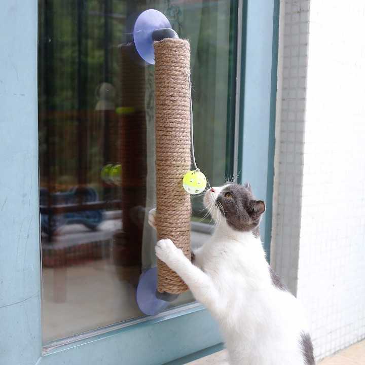 Jouet à gratter avec boule pour chat Pour toi Mon chat