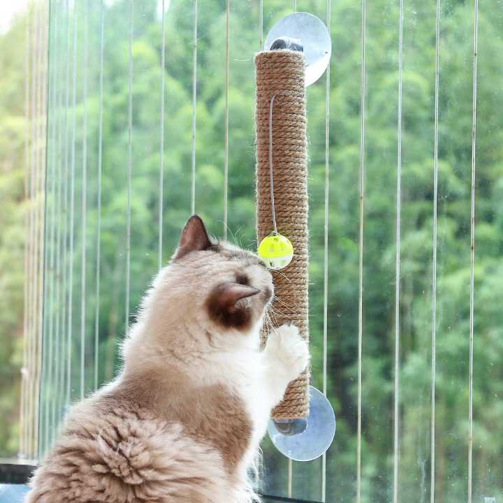 Jouet à gratter avec boule pour chat Pour toi Mon chat