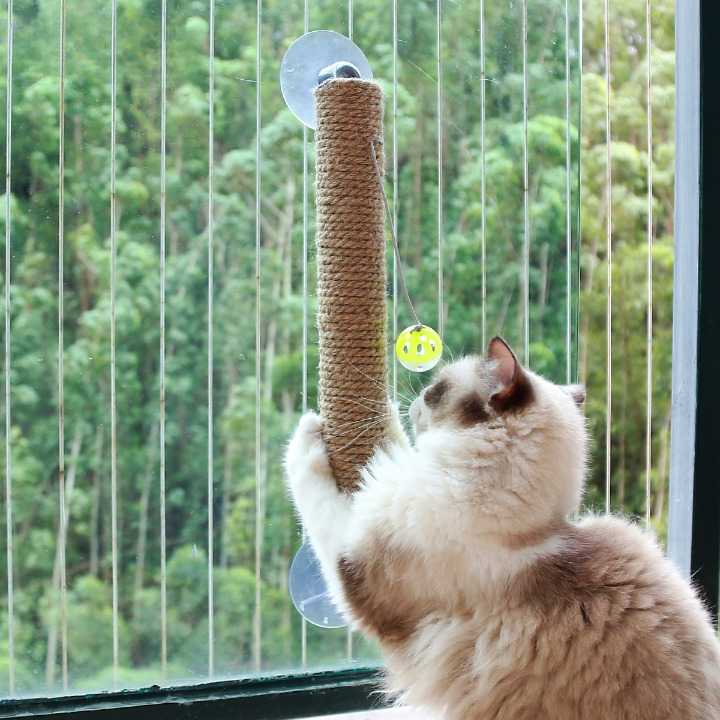 Jouet à gratter avec boule pour chat Pour toi Mon chat