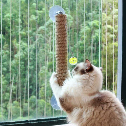 Jouet à gratter avec boule pour chat Pour toi Mon chat