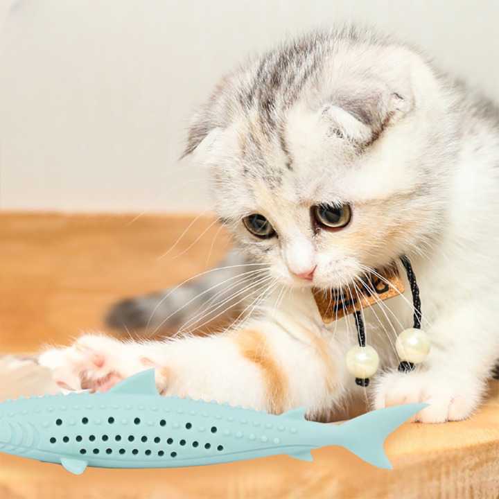 Jouet brosse à dents en forme de poisson en silicone et herbe à chat Pour toi Mon chat