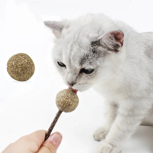 Jouet en herbe à chat en forme de sucette pour chat Pour toi Mon chat