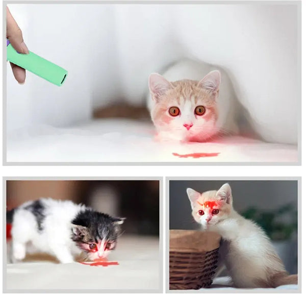 Jouet laser interactif LED à trois styles pour chat Pour toi Mon chat