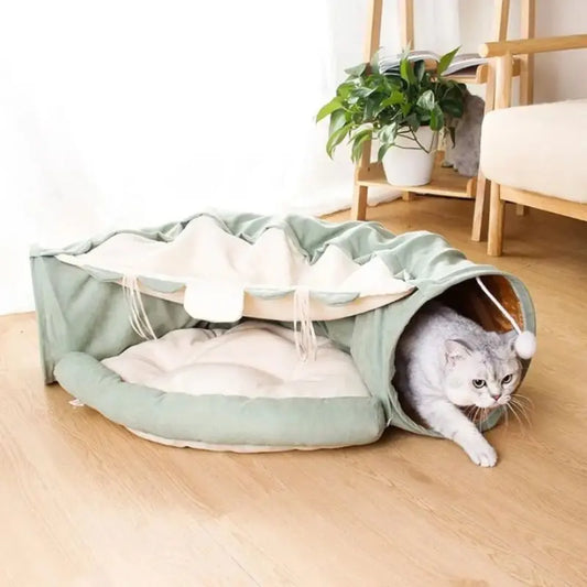 Jouet pour Chat Lit Tunnel Pliable sur le sol avec un chat à l'intérieur avec un rideau et des meubles en fond