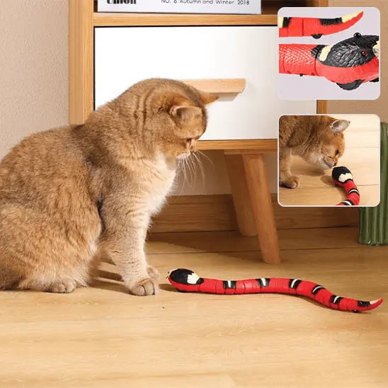 Jouet pour Chat - Serpent Interactif un chat roux devant meuble en bois marron et blanc, joue avec le serpent sur le sol beige; deux petites fenêtres avec autres images du serpent, 
